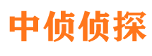 滨海新区私人侦探